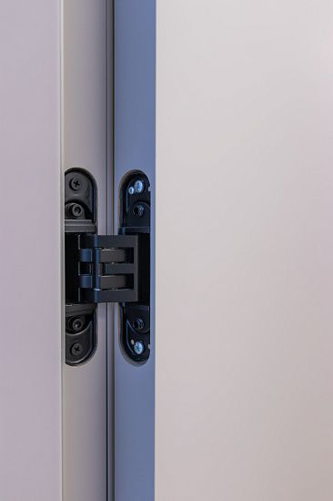 Межкомнатная дверь  