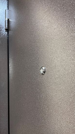 Входная дверь  